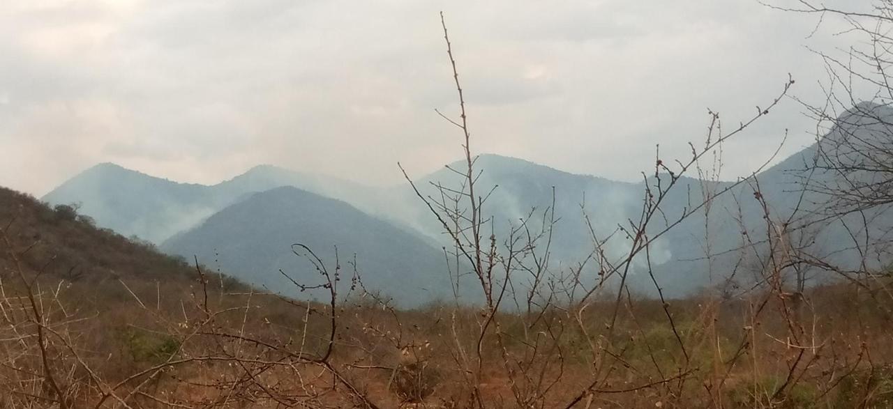 WILDFIRE RAVAGES MUKONG’A VILLAGE IN MUMONI FOREST