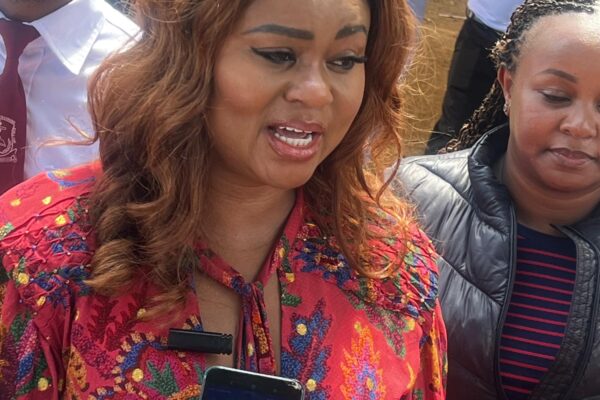 B8bde28e D24a 410b 92b9 91d7b6cfff2c