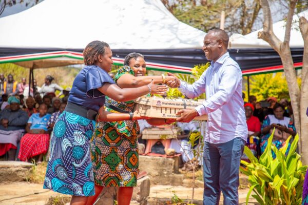 Fb Img 1762008246255