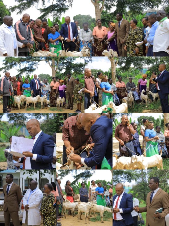 301326da-5845-4b31-b002-4a6581a11572