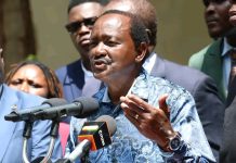 Kalonzo Musyoka heads to Court to Block Proposed Sale of Safaricom Shares