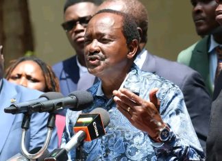 Kalonzo Musyoka heads to Court to Block Proposed Sale of Safaricom Shares