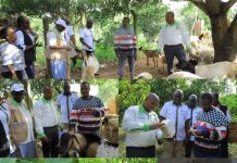 County Team Visits Youth Farmer to Strengthen Extension Services in Kitui