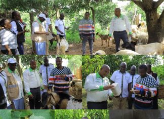 County Team Visits Youth Farmer to Strengthen Extension Services in Kitui