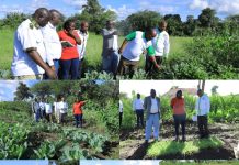 Strengthening Market-Oriented Farming Through Extension Support in Kitui West