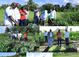 Strengthening Market-Oriented Farming Through Extension Support in Kitui West