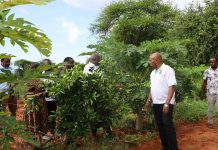 Agriculture CEM Kimwele Mbaya Leads Field Visit to Boost Climate-Smart Farming in Kitui South